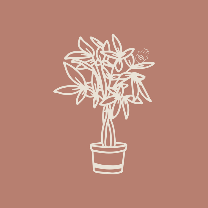INTENTIONAL PLANTS
