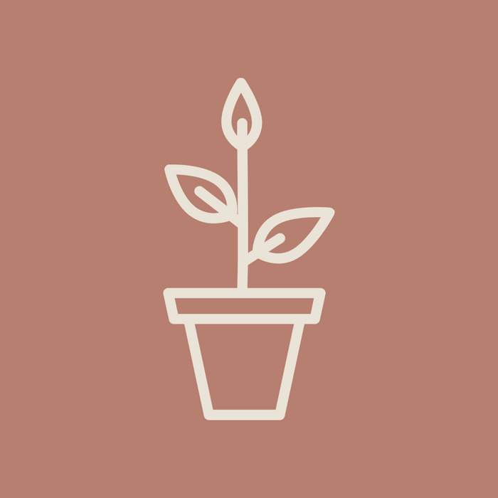 NO POTTED PLANTS