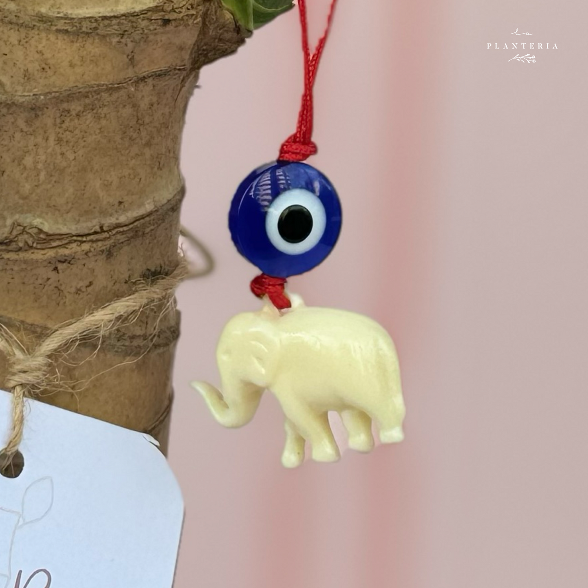 Lucky elephant coral Charm