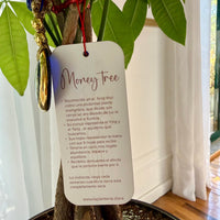 Gold money tree + ojo turco