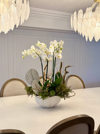 Soft elegance
