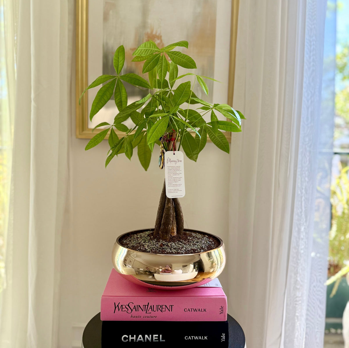 Gold money tree + ojo turco
