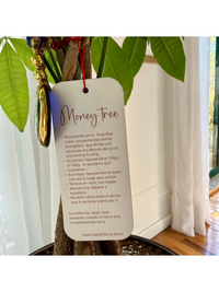 Silver money tree + ojo turco