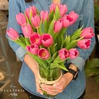 20 tulips en cilindro