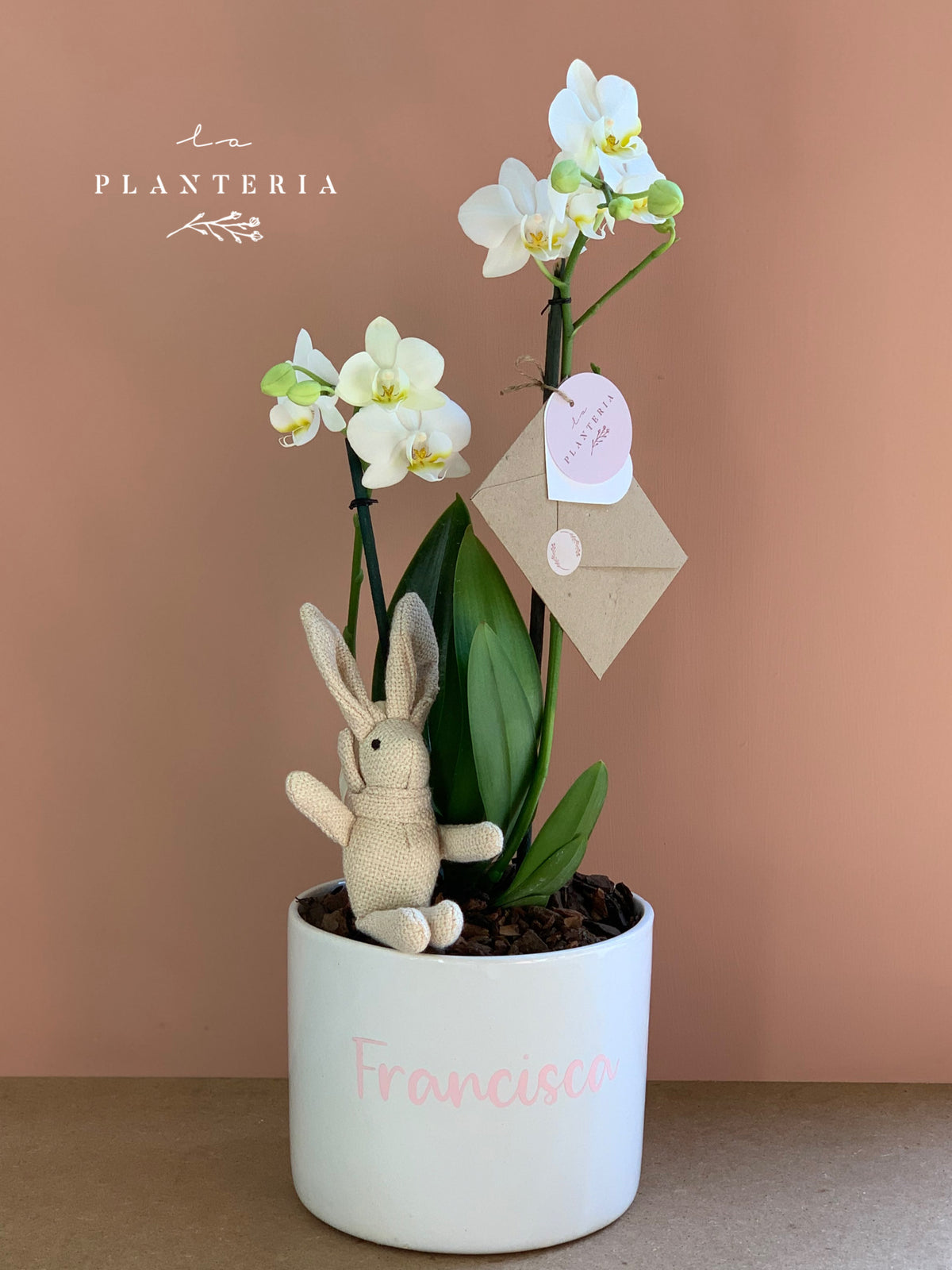 Welcome Pot orquídea (5744150446230)